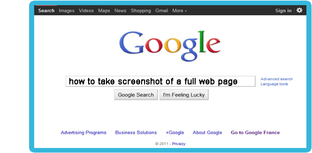 how to take a screenshot of a long web page