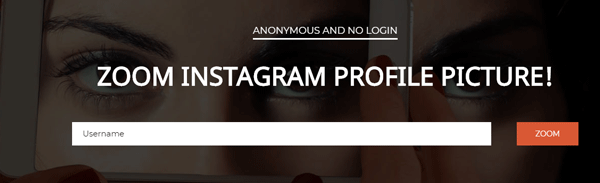 Download Instagram Profile Picture Using Online Apps