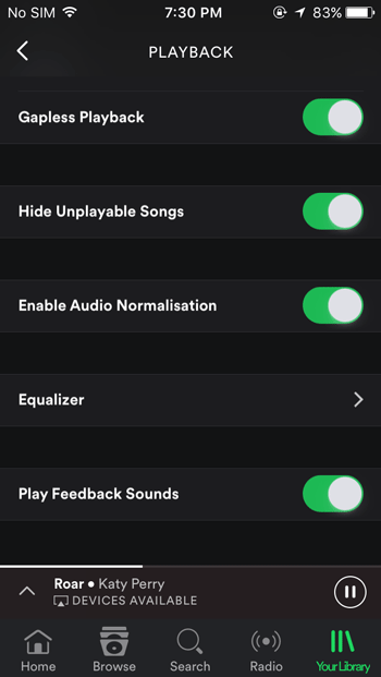 Equalizer settings of Spotify