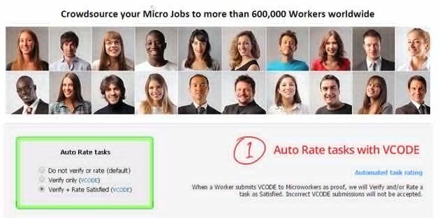 Micro Workers