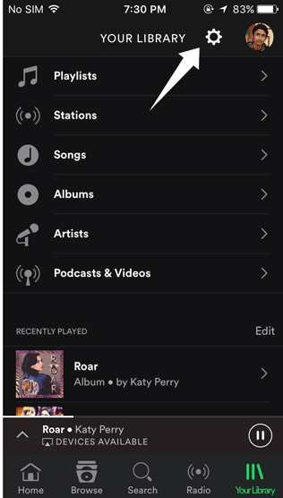 Spotify settings on iphone