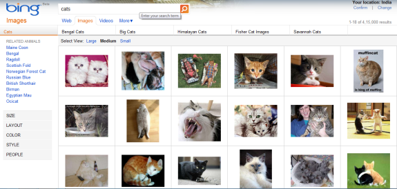 Improved Bing Image search