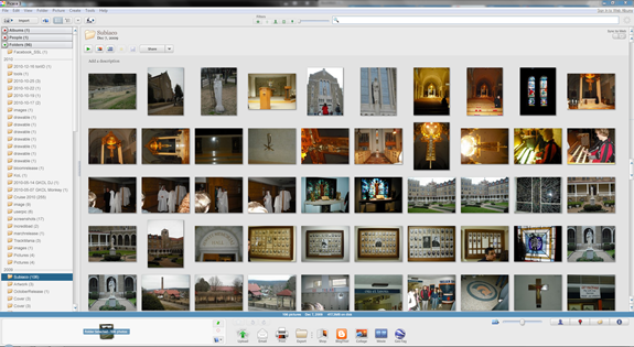Picasa's Main Window