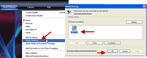 Windows Media Player LAN/WAN Sharing